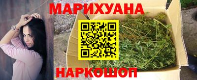 PSILOCYBIN Заводоуковск
